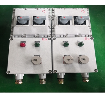 施工現(xiàn)場檢修型防爆電源箱 粉塵防爆動力檢修插