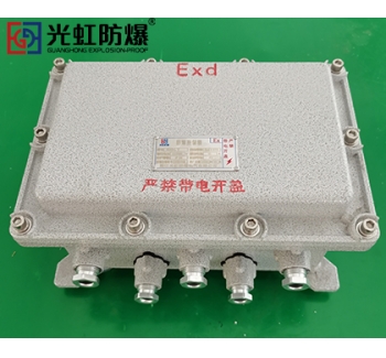 IIB隔爆型防爆接線端子箱空箱（IP54 T6）