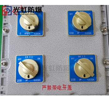 粉塵防爆配電箱 現(xiàn)場防爆動(dòng)力配電箱