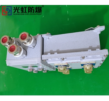 粉塵防爆配電箱 現(xiàn)場防爆動(dòng)力配電箱