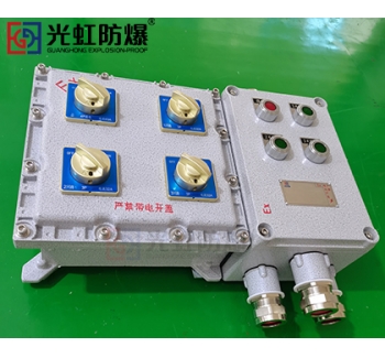 粉塵防爆配電箱 現(xiàn)場防爆動(dòng)力配電箱