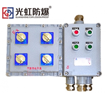 粉塵防爆配電箱 現(xiàn)場防爆動(dòng)力配電箱