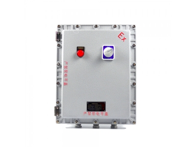 500X600X200粉塵防爆接線(xiàn)箱 防爆監(jiān)控模塊箱