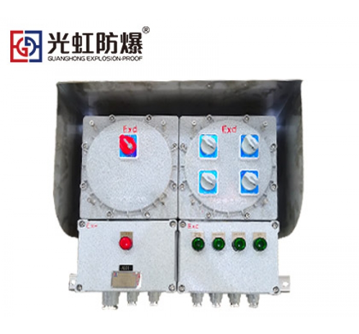 CT4/CT6防爆照明配電箱（戶(hù)外壁掛式）